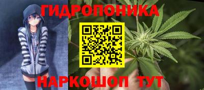 гидра Донецк