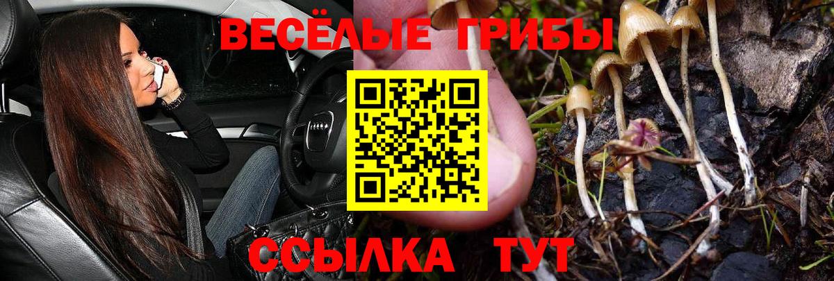 Кандалакша  Псилоцибиновые грибы мицелий  где купить наркоту  Вход с VPN 
